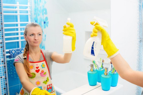 Professional window cleaning for homes in SW19 with clear glass and tidy frames