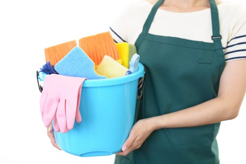 Cleaning support for a busy SW19 family home