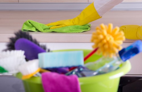 Cleaner working in a SW19 family home near Wimbledon