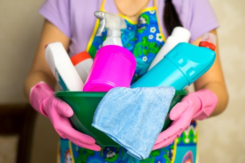 Carpet cleaning service for homes in SW19