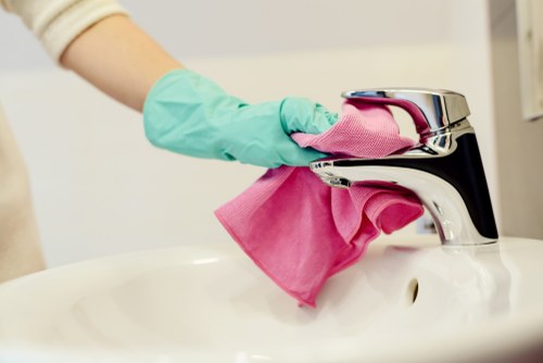 Deep carpet cleaning process in a SW19 home