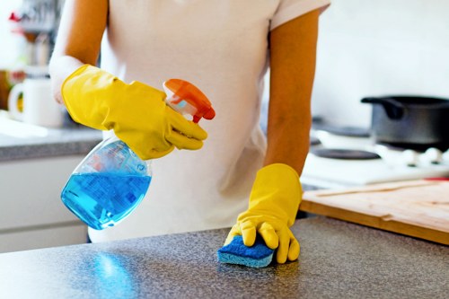 Professional oven cleaning service for SW19 homes and flats