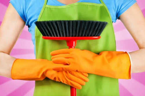 Visual for screen-reader friendly carpet cleaning information