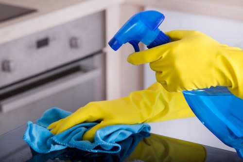 Professional cleaner providing domestic cleaning in a SW19 home