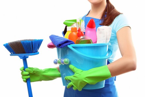 Vacuum and carpet care scene before cleaning in SW19