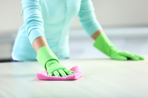 Local cleaning team servicing homes and offices in SW19