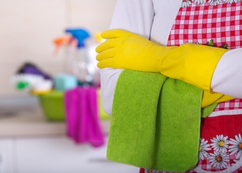 Professional sofa deep cleaning process for SW19 properties