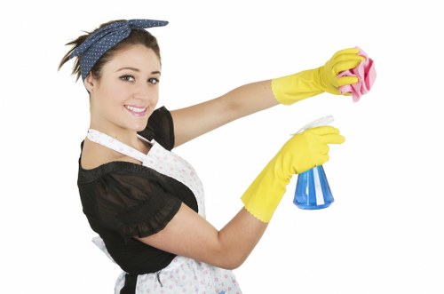 Professional cleaning team working in a Wimbledon area property