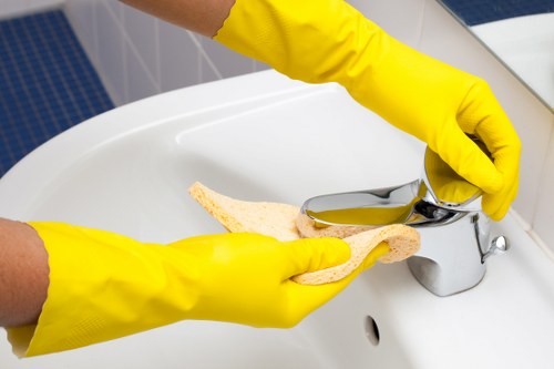 Cleaner confirming a carpet cleaning appointment details