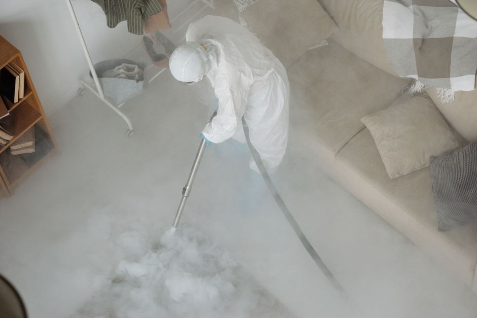 Close-up of a person using a handheld vacuum cleaner to clean a green upholstered sofa in a living room, with a grey fabric sofa positioned behind it. The room is well-lit with soft lighting, highligh